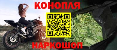 гидра Кимры