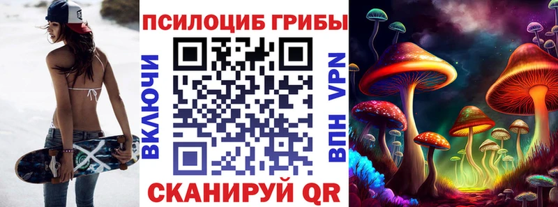 Псилоцибиновые грибы Cubensis  МЕГА ТОР  Павлово 