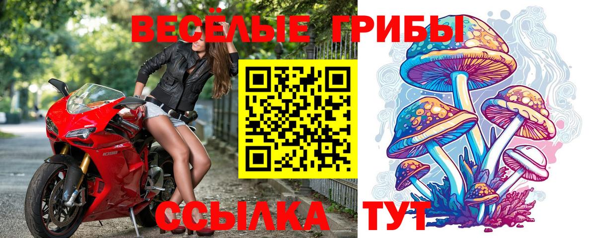 Псилоцибиновые грибы мухоморы  Павлово 