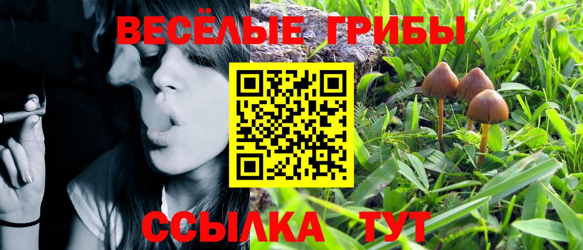 Псилоцибиновые грибы Cubensis  Вход с VPN  Павлово  Галлюциногенные грибы Cubensis 