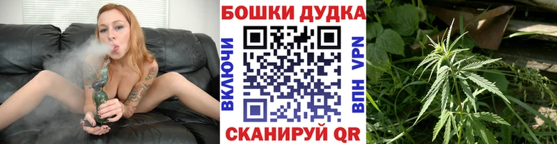 мега онион  дарнет шоп  Павлово  Бошки марихуана Amnesia 